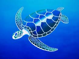img/destinations/Turtle 2.jpg